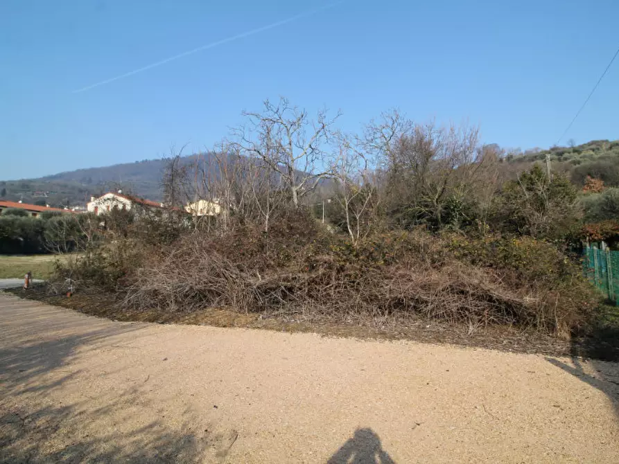 Immagine 1 di Terreno in vendita  in via gardin a Arqua' Petrarca