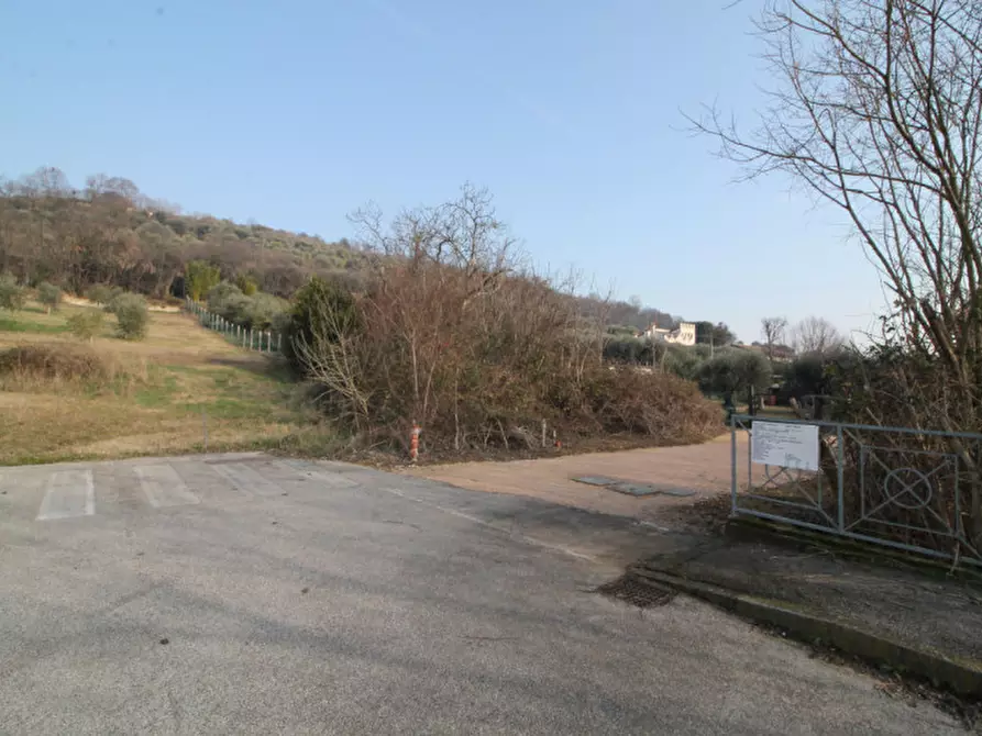 Immagine 3 di Terreno in vendita  in via gardin a Arqua' Petrarca