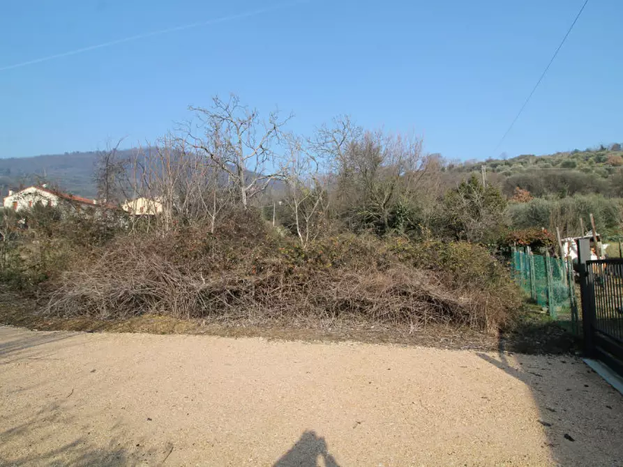 Immagine 4 di Terreno in vendita  in via gardin a Arqua' Petrarca