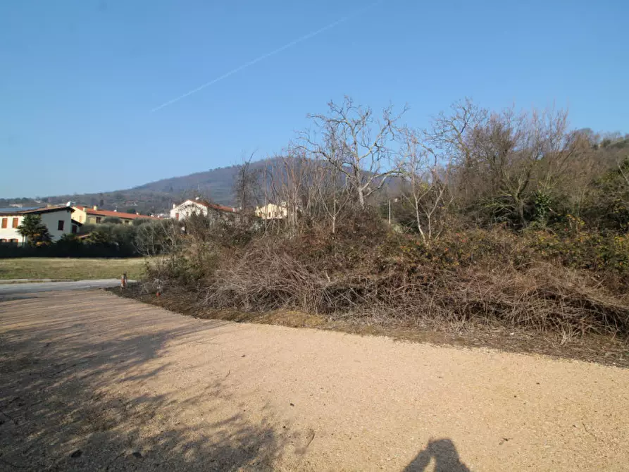 Immagine 5 di Terreno in vendita  in via gardin a Arqua' Petrarca
