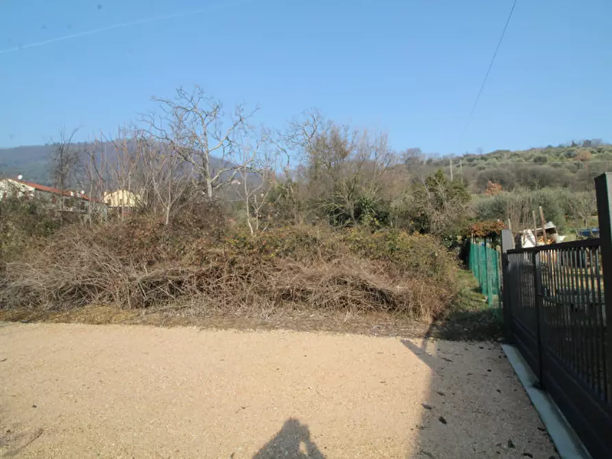 Immagine 6 di Terreno in vendita  in via gardin a Arqua' Petrarca