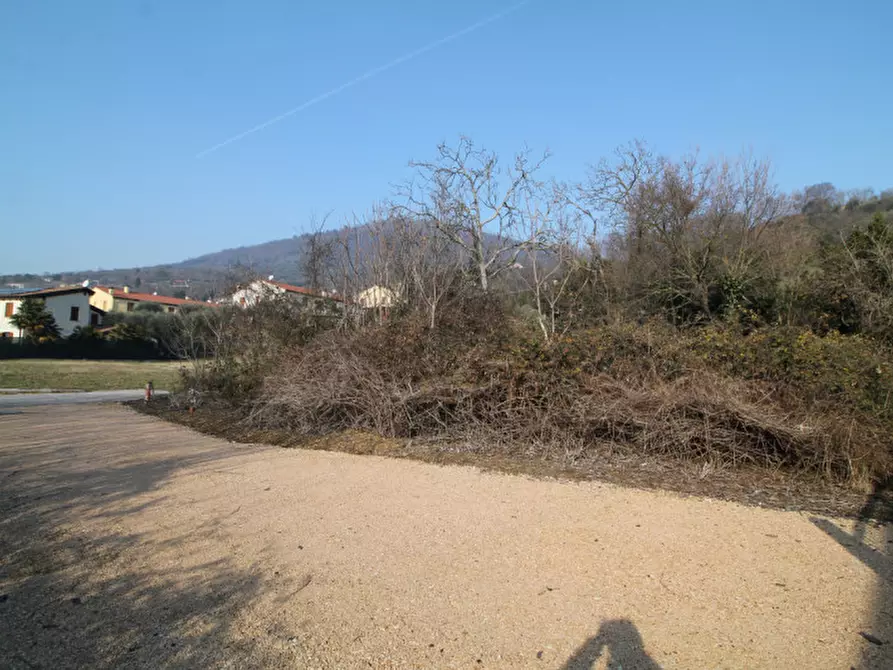Immagine 7 di Terreno in vendita  in via gardin a Arqua' Petrarca
