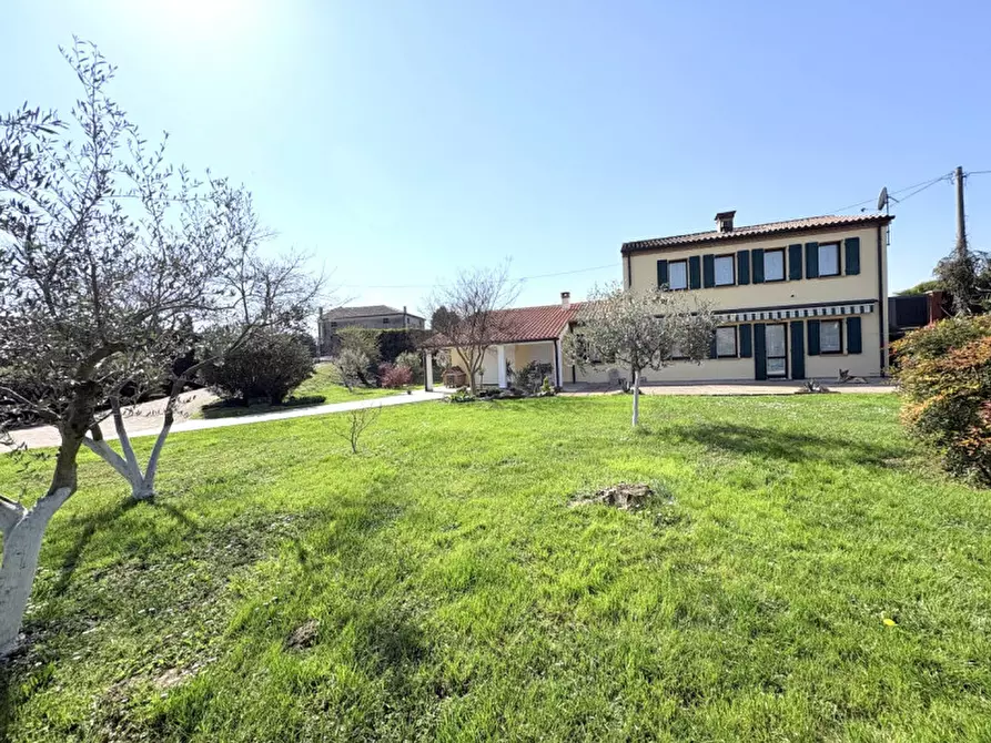 Immagine 3 di Casa indipendente in vendita  in Via Maggiore a Battaglia Terme