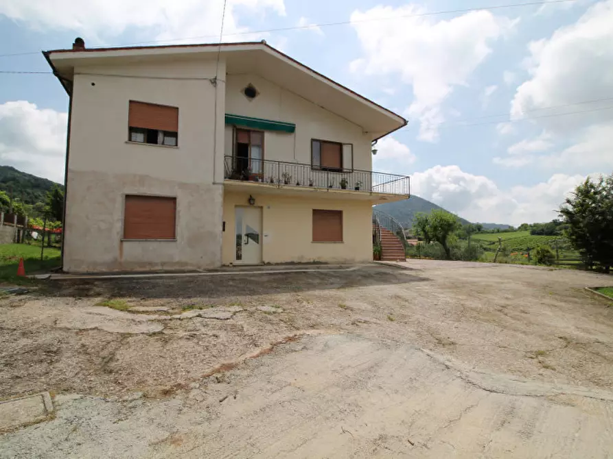 Immagine 2 di Appartamento in vendita  in Via Mantovane a Cinto Euganeo