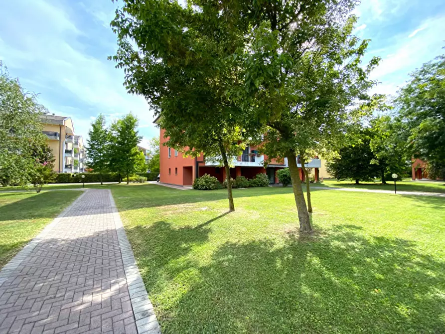 Immagine 3 di Appartamento in vendita  in via tito livio 1 a Albignasego