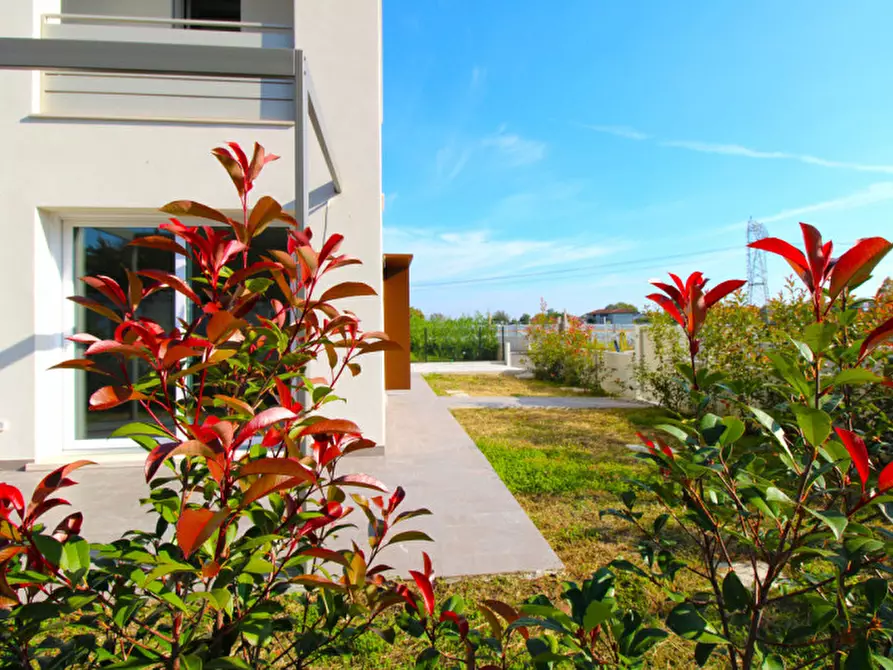 Immagine 35 di Casa trifamiliare in vendita  in Via Guglielmo Marconi a Albignasego