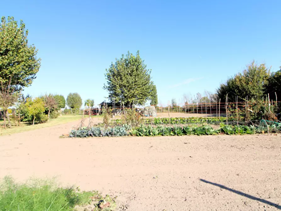 Immagine 1 di Terreno in vendita  in via Carpanedo 7 a Monselice