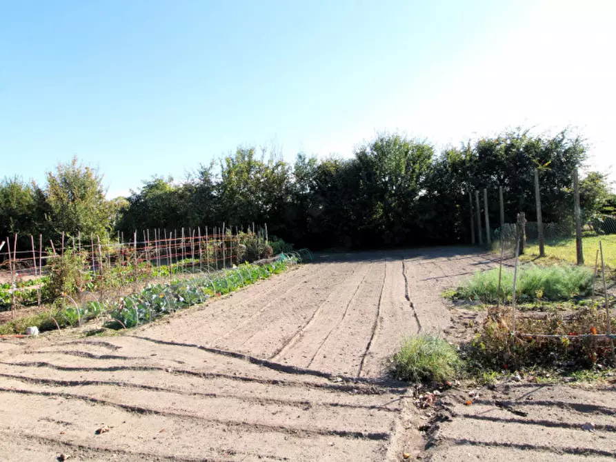 Immagine 4 di Terreno in vendita  in via Carpanedo 7 a Monselice