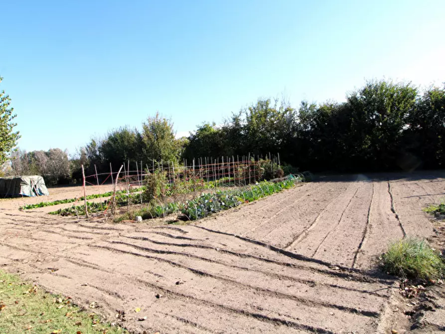 Immagine 5 di Terreno in vendita  in via Carpanedo 7 a Monselice