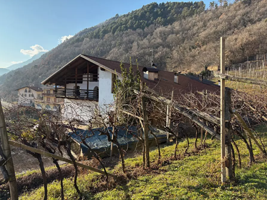 Immagine 3 di Casa trifamiliare in vendita  in via san giorgio 6 a Giovo
