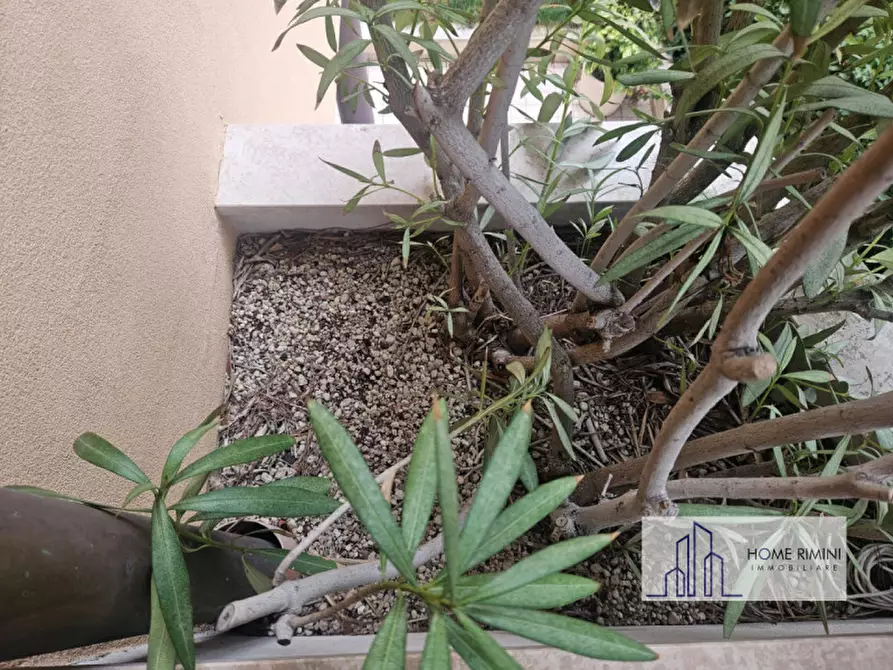 Immagine 30 di Appartamento in vendita  in Viale Trento a Rimini