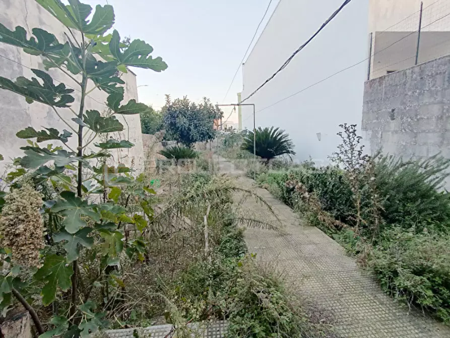 Immagine 3 di Casa indipendente in vendita  in via Pisanelli a San Cassiano