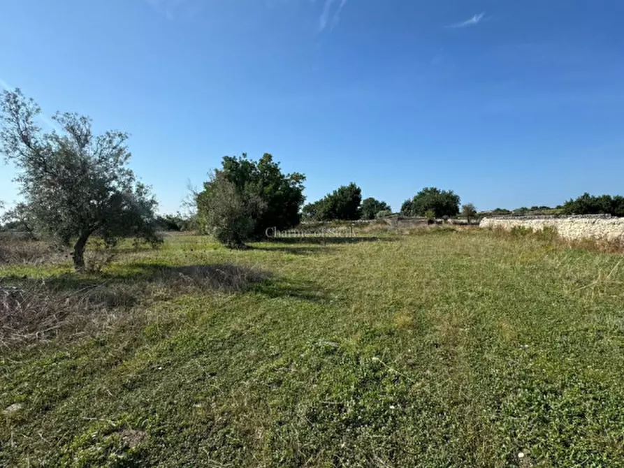 Immagine 45 di Casa indipendente in vendita  a Modica