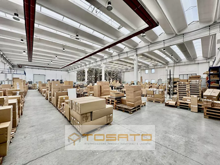 Immagine 2 di Capannone industriale in vendita  a Cerea