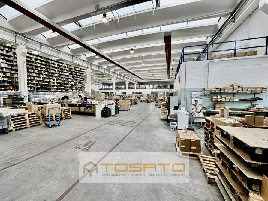 Immagine 4 di Capannone industriale in vendita  a Cerea