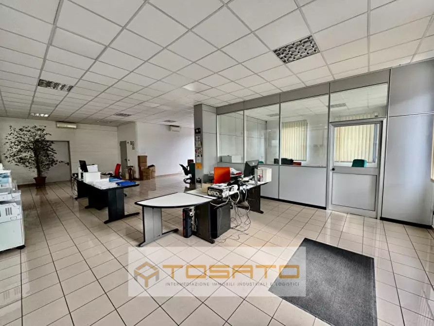 Immagine 19 di Capannone industriale in vendita  a Cerea