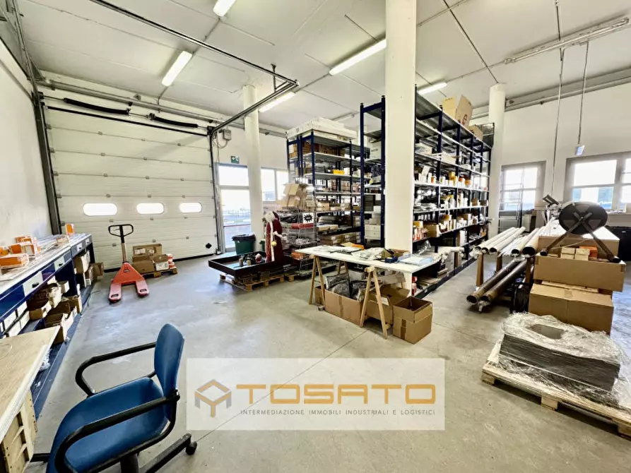 Immagine 2 di Capannone industriale in vendita  a Cerea