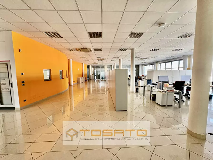 Immagine 2 di Capannone industriale in vendita  a Cerea