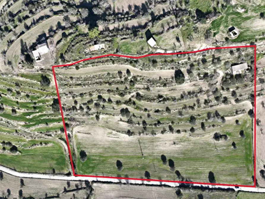 Immagine 2 di Casa indipendente in vendita  in San Giacomo a Ragusa