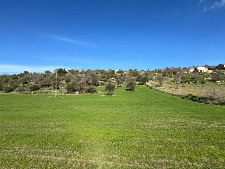 Immagine 6 di Casa indipendente in vendita  in San Giacomo a Ragusa