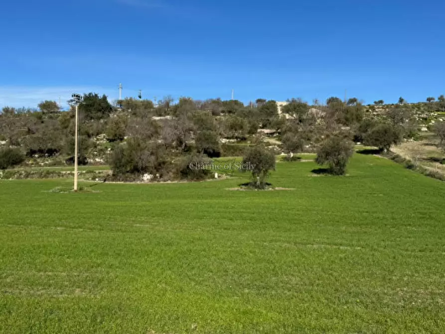 Immagine 16 di Casa indipendente in vendita  in San Giacomo a Ragusa