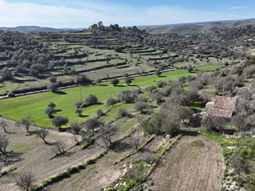 Immagine 18 di Casa indipendente in vendita  in San Giacomo a Ragusa