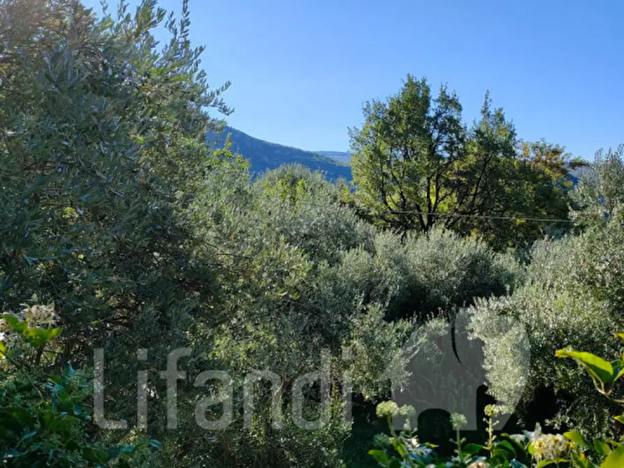 Immagine 8 di Rustico / casale in vendita  a Rivoli Veronese