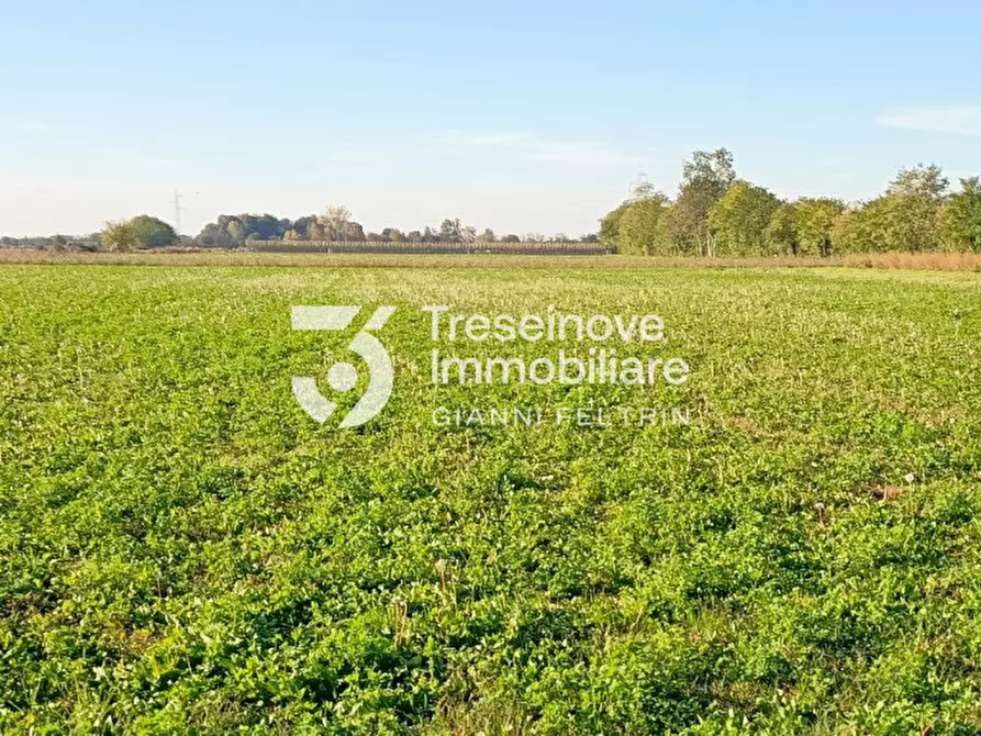 Immagine 4 di Terreno in vendita  in Via Gasparini a Paese