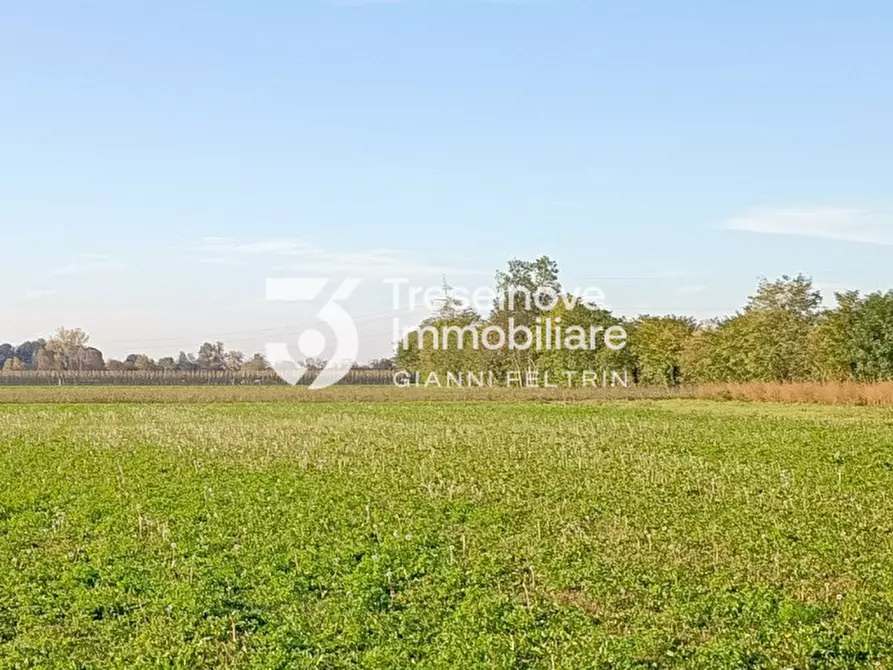 Immagine 6 di Terreno in vendita  in Via Gasparini a Paese