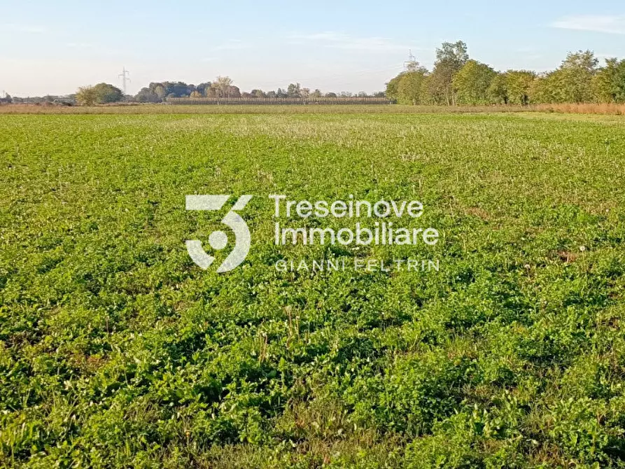 Immagine 7 di Terreno in vendita  in Via Gasparini a Paese