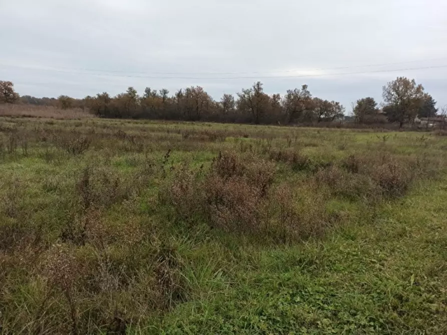 Immagine 2 di Terreno in vendita  in Piana a Castiglione Del Lago