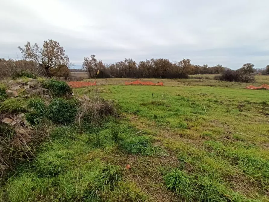 Immagine 4 di Terreno in vendita  in Piana a Castiglione Del Lago