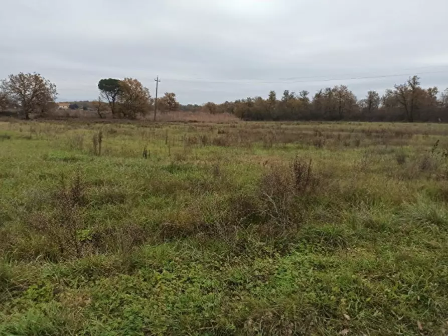 Immagine 5 di Terreno in vendita  in Piana a Castiglione Del Lago