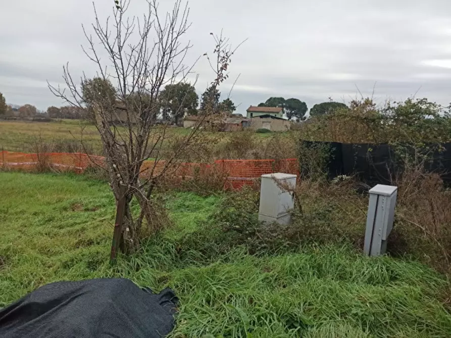 Immagine 6 di Terreno in vendita  in Piana a Castiglione Del Lago