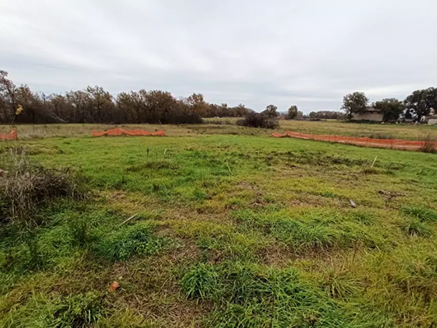 Immagine 7 di Terreno in vendita  in Piana a Castiglione Del Lago
