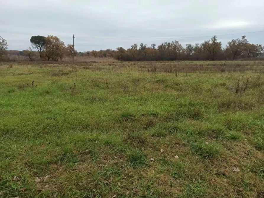 Immagine 9 di Terreno in vendita  in Piana a Castiglione Del Lago