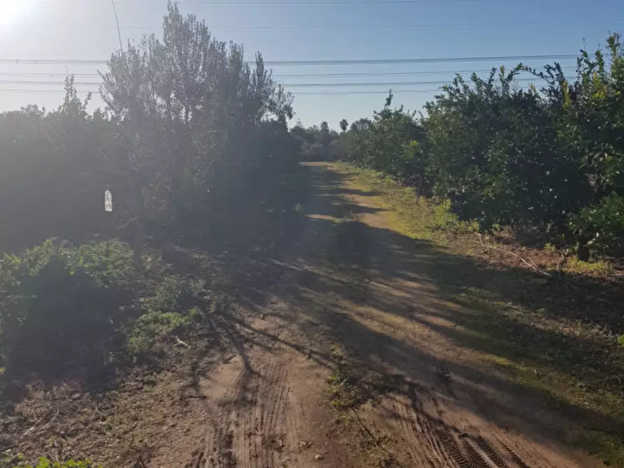 Immagine 13 di Rustico / casale in vendita  in C.da San Giacomo a San Vito Dei Normanni