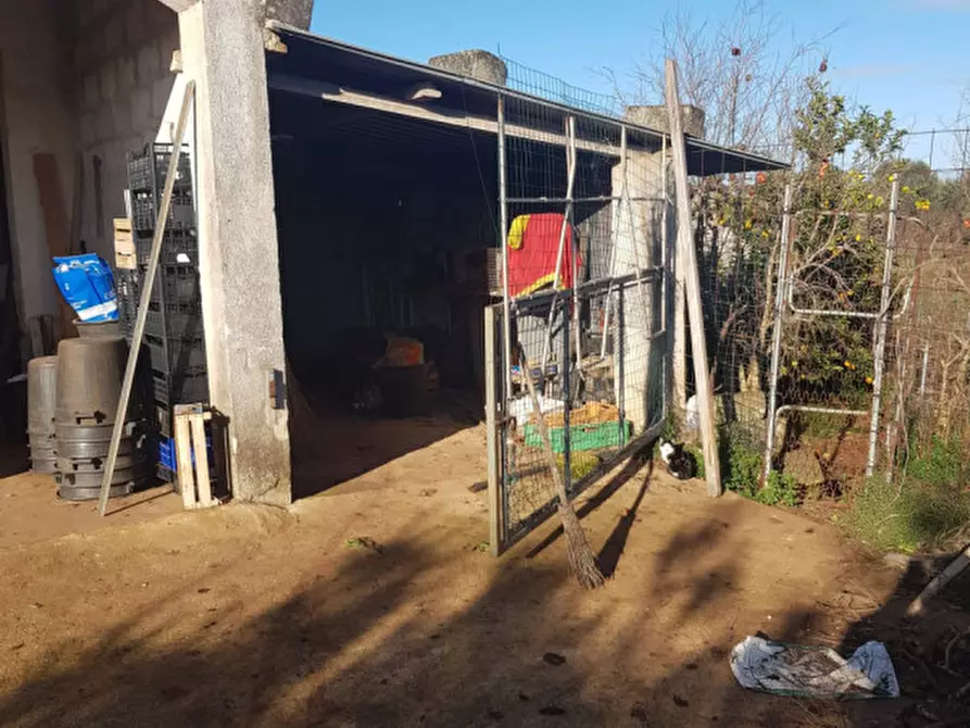 Immagine 29 di Rustico / casale in vendita  in C.da San Giacomo a San Vito Dei Normanni