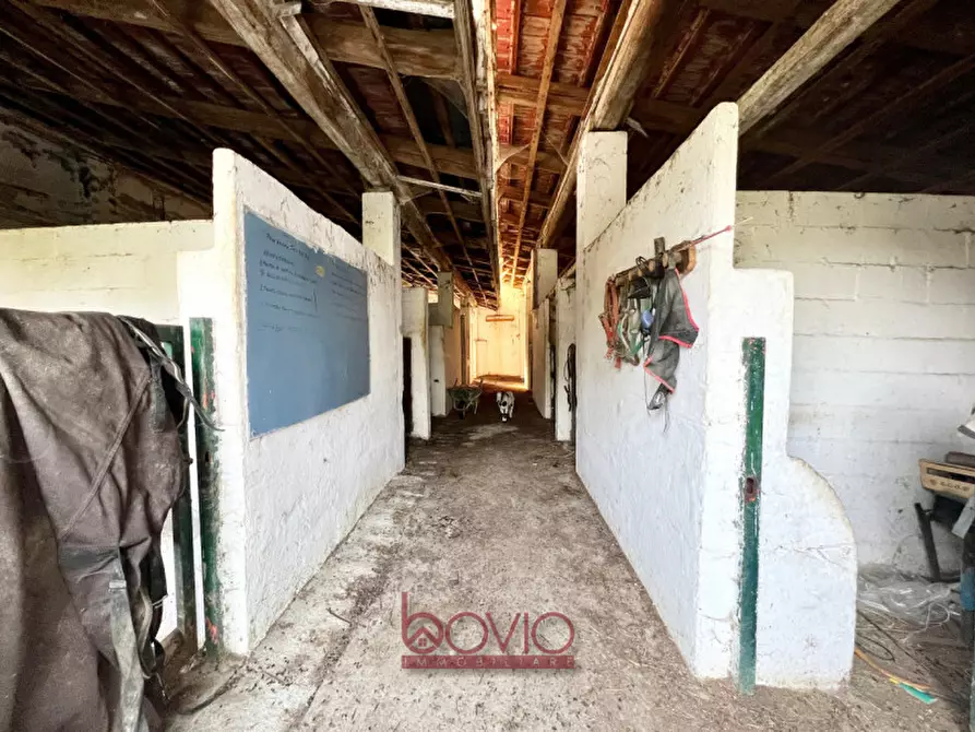 Immagine 40 di Rustico / casale in vendita  in strada sant'antonio n°54 a Gassino Torinese