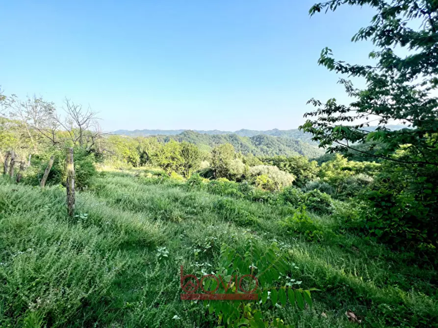 Immagine 57 di Rustico / casale in vendita  in strada sant'antonio n°54 a Gassino Torinese