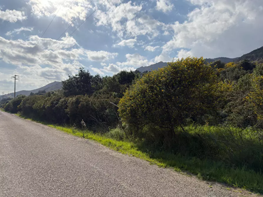 Immagine 2 di Terreno in vendita  in Via Nuraxeddus a Pula