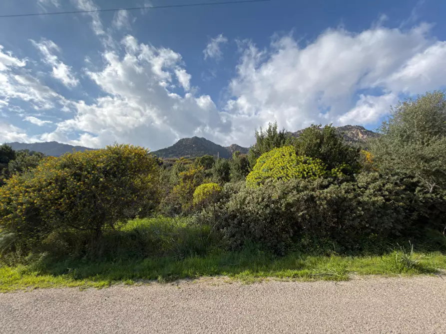 Immagine 3 di Terreno in vendita  in Via Nuraxeddus a Pula