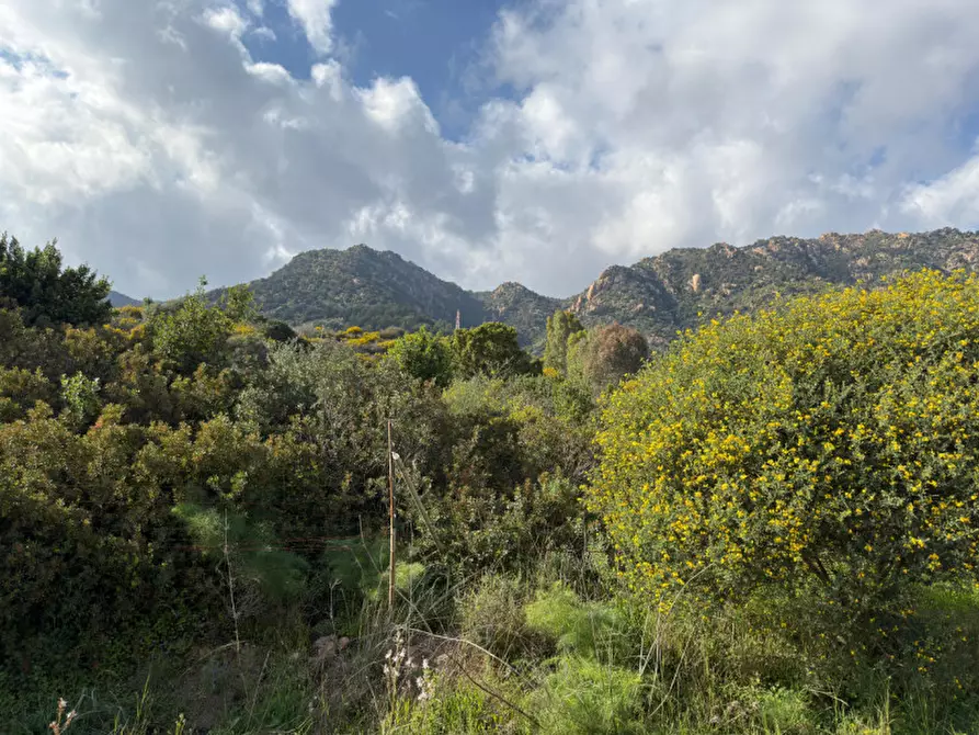 Immagine 5 di Terreno in vendita  in Via Nuraxeddus a Pula
