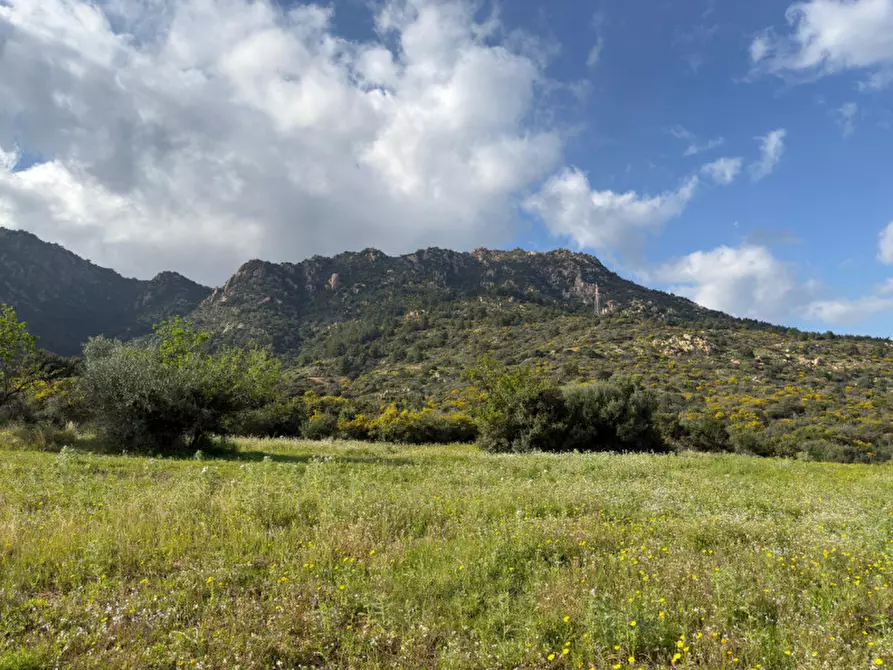 Immagine 9 di Terreno in vendita  in Via Nuraxeddus a Pula