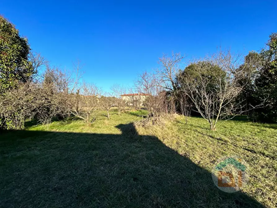 Immagine 4 di Terreno in vendita  in Via Aquileia a Gradisca D'isonzo
