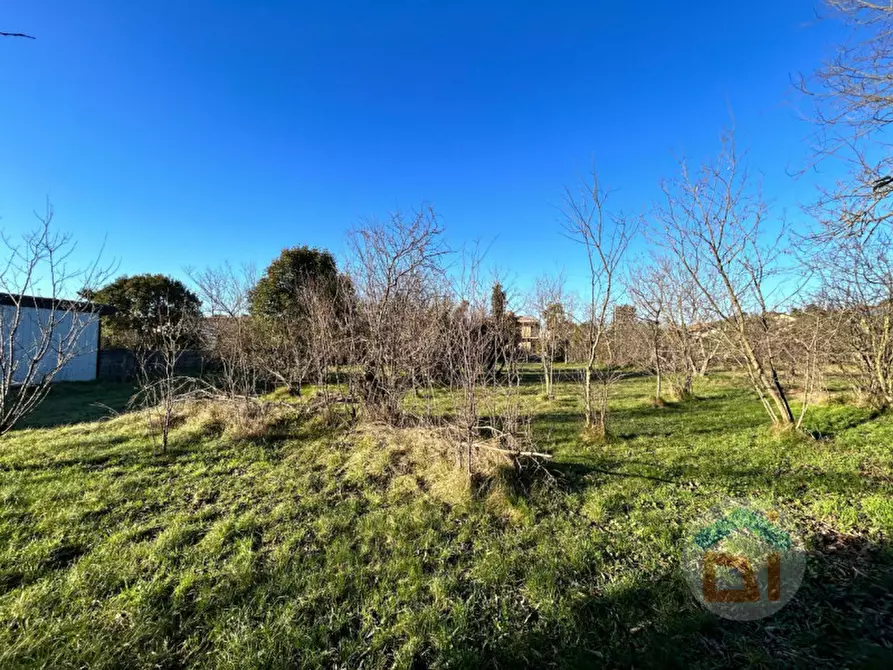 Immagine 7 di Terreno in vendita  in Via Aquileia a Gradisca D'isonzo