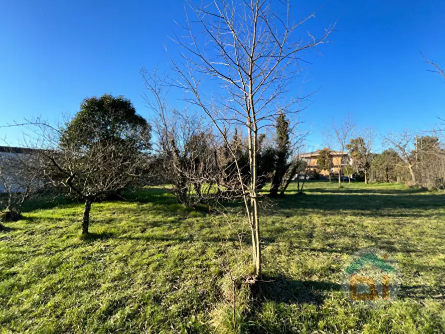 Immagine 10 di Terreno in vendita  in Via Aquileia a Gradisca D'isonzo