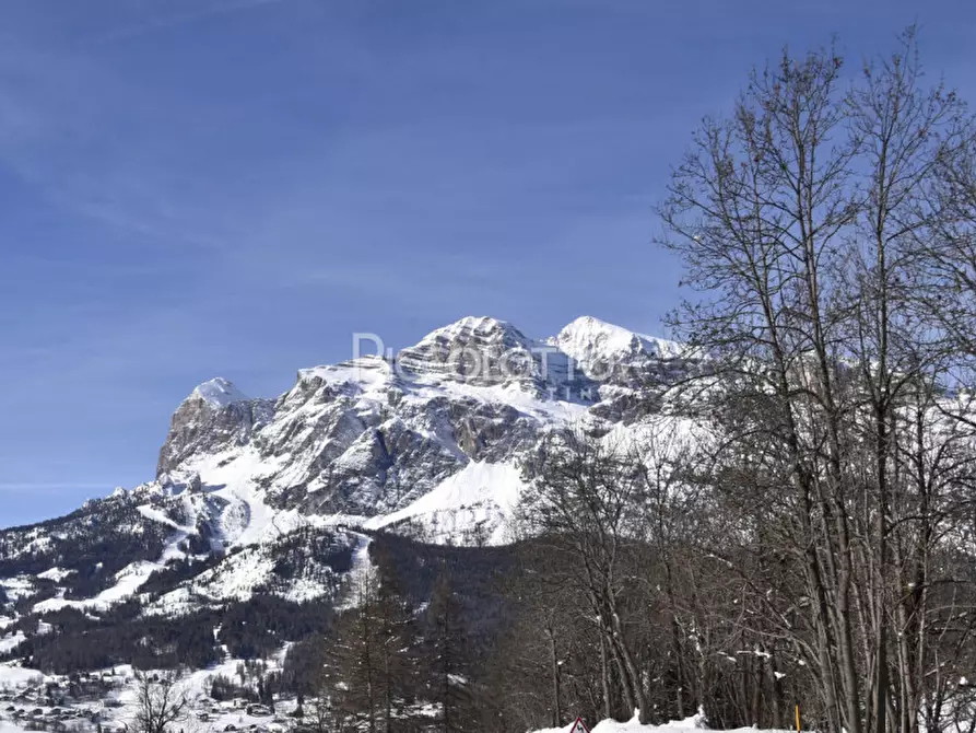 Immagine 6 di Appartamento in affitto  in Via del Parco a Cortina D'ampezzo
