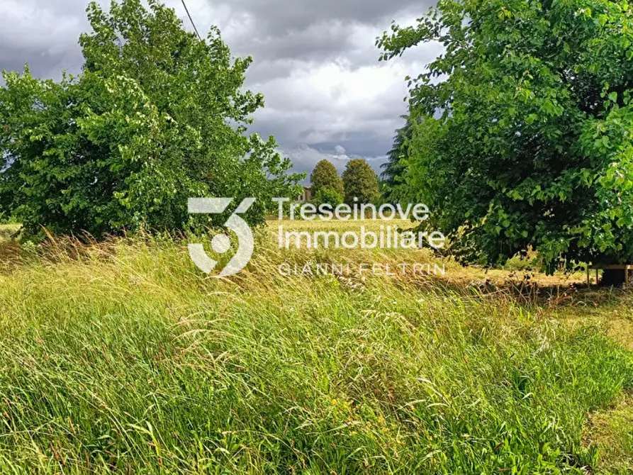 Immagine 4 di Terreno in vendita  in Via Carso a Trevignano