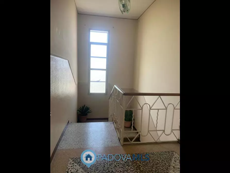 Immagine 8 di Appartamento in vendita  in Via Selve a Teolo